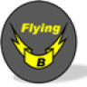 Flying B